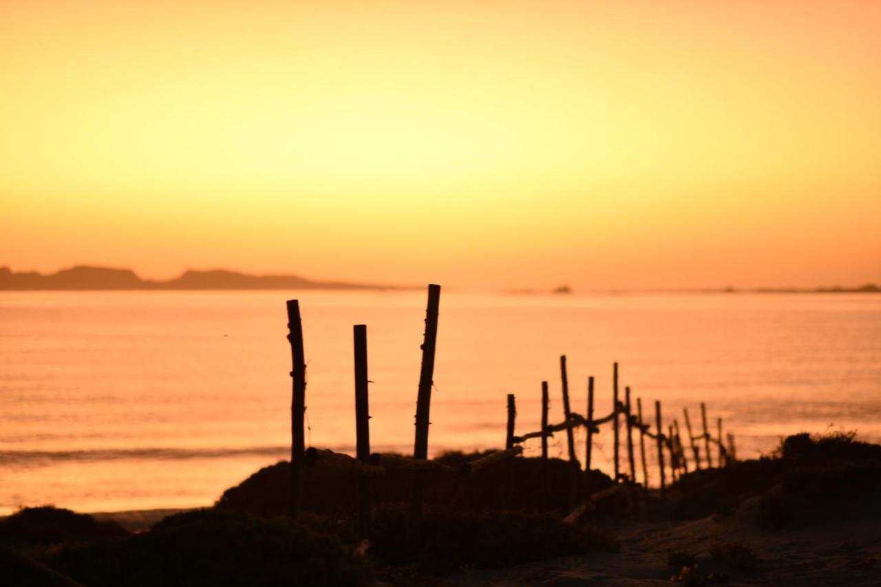 Entre Dunas Y Caracolas Punta de Choros Dış mekan fotoğraf