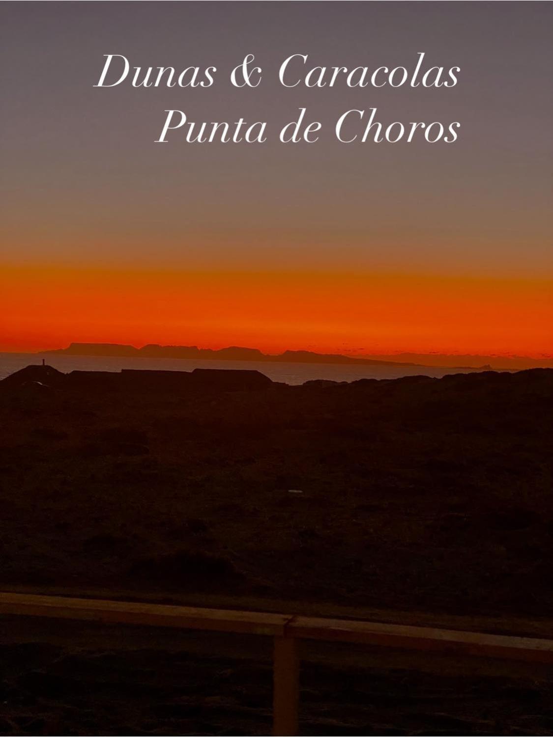 Entre Dunas Y Caracolas Punta de Choros Dış mekan fotoğraf