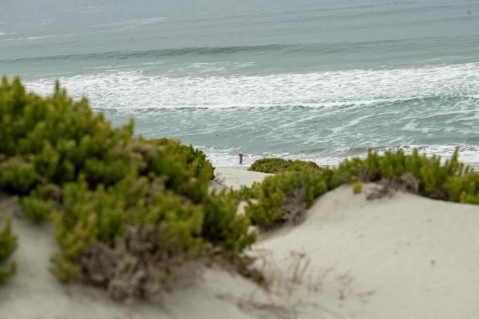 Entre Dunas Y Caracolas Punta de Choros Dış mekan fotoğraf