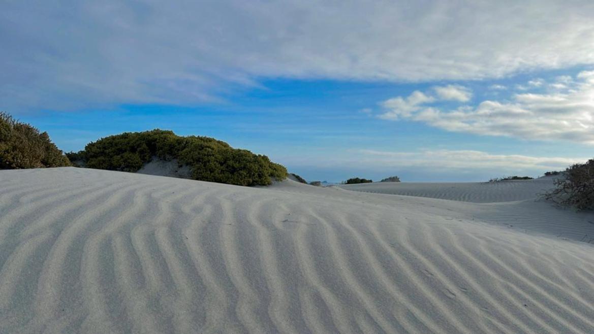 Entre Dunas Y Caracolas Punta de Choros Dış mekan fotoğraf