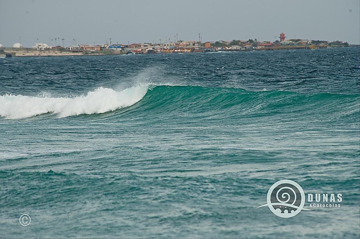 Entre Dunas Y Caracolas Punta de Choros Dış mekan fotoğraf