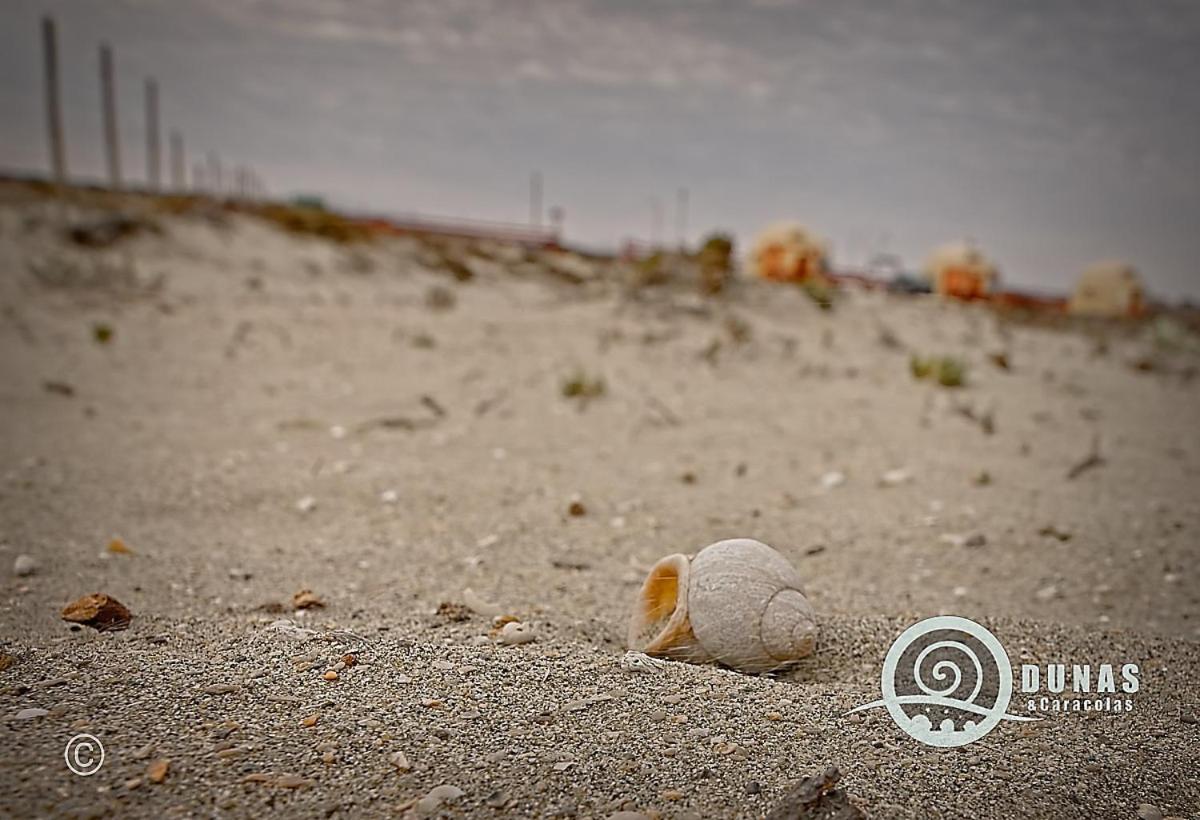 Entre Dunas Y Caracolas Punta de Choros Dış mekan fotoğraf