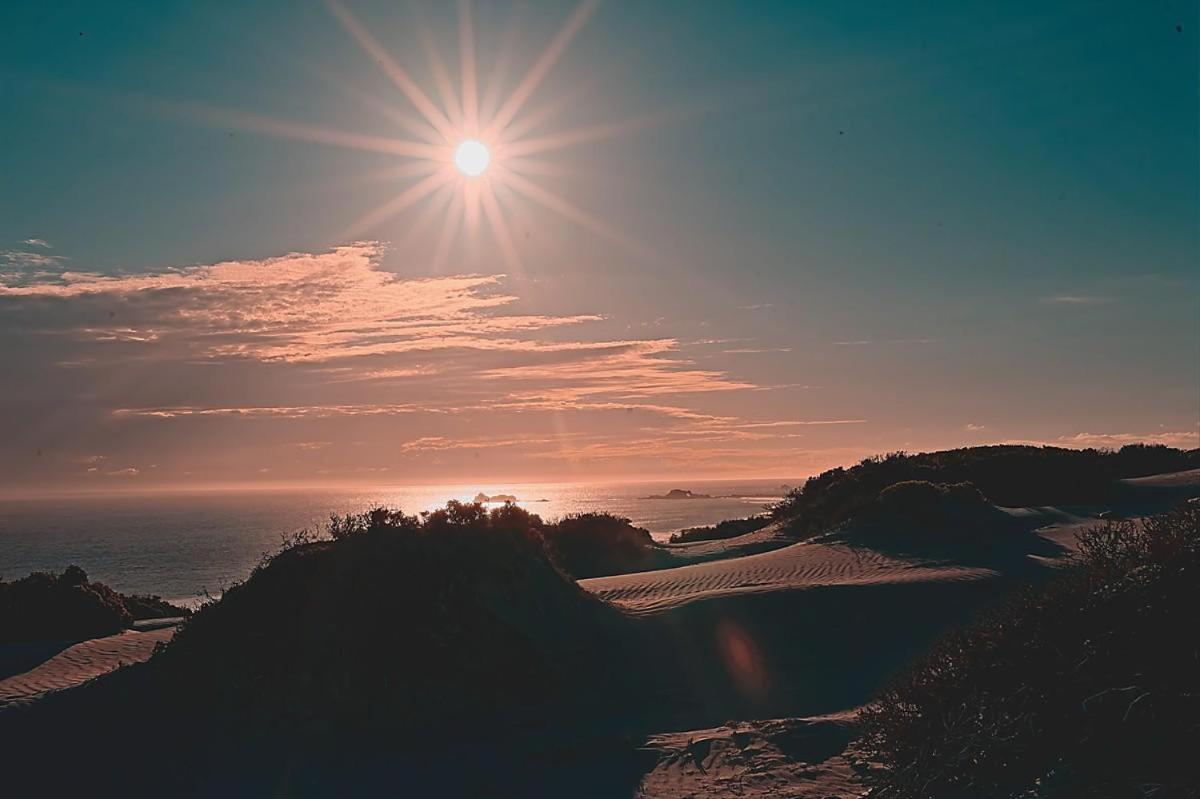 Entre Dunas Y Caracolas Punta de Choros Dış mekan fotoğraf