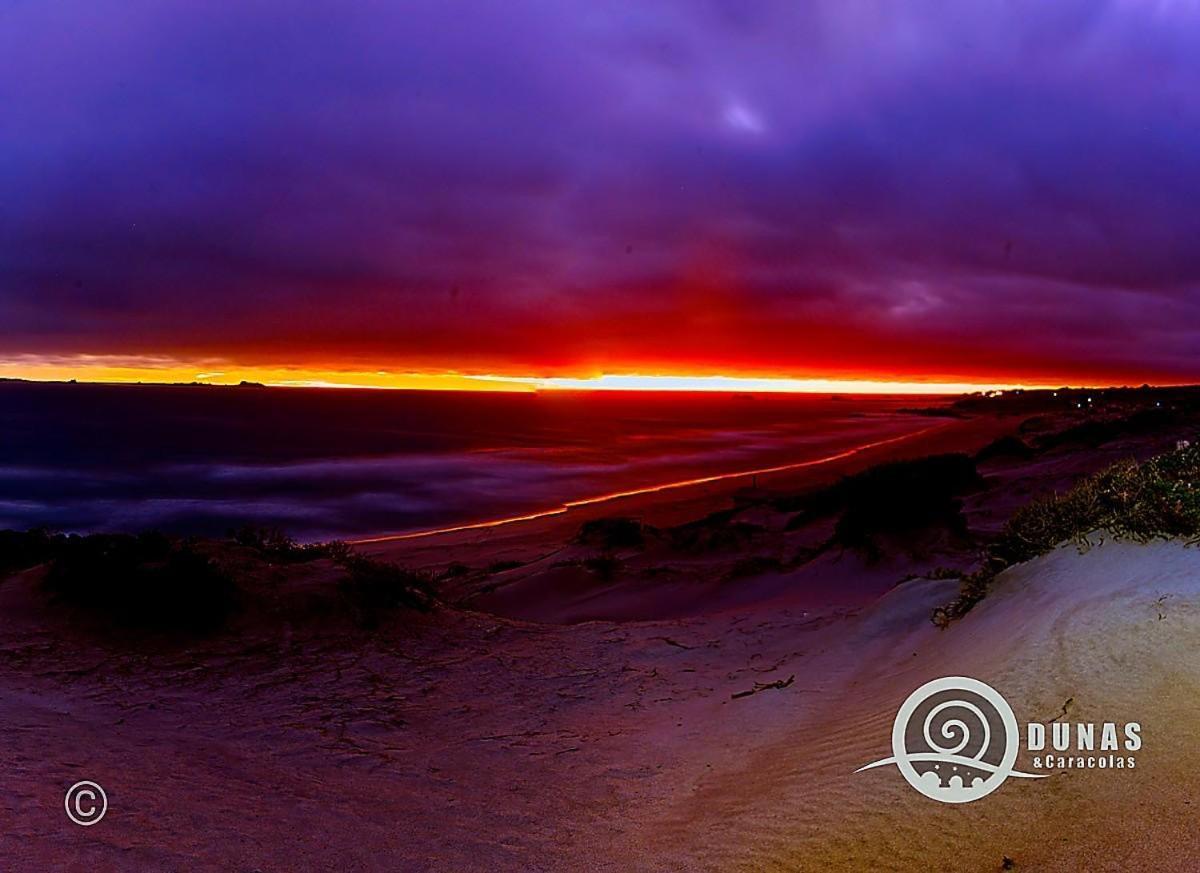 Entre Dunas Y Caracolas Punta de Choros Dış mekan fotoğraf