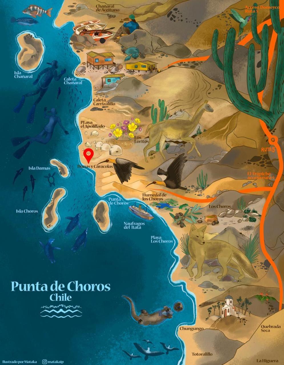 Entre Dunas Y Caracolas Punta de Choros Dış mekan fotoğraf