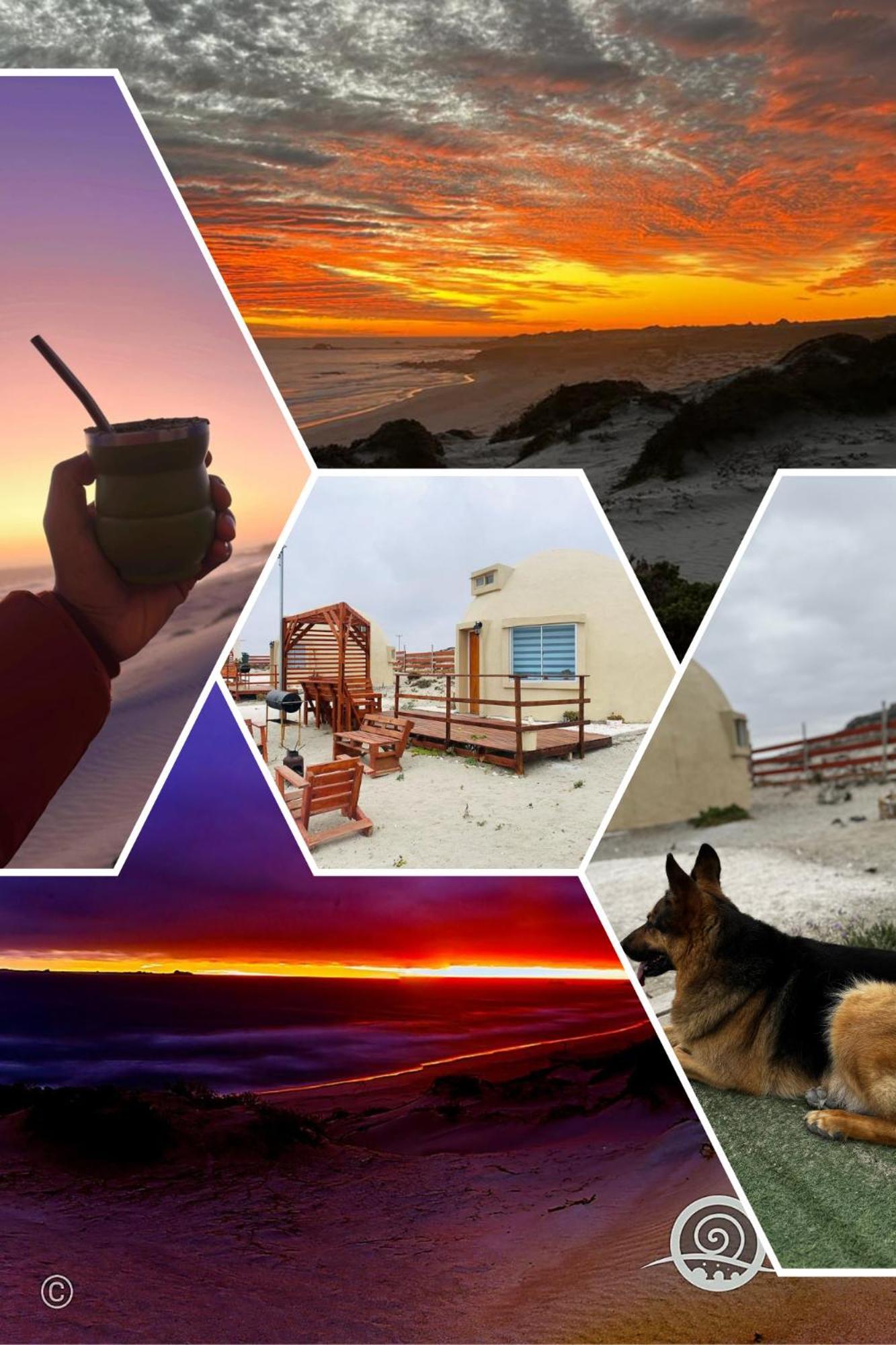 Entre Dunas Y Caracolas Punta de Choros Dış mekan fotoğraf